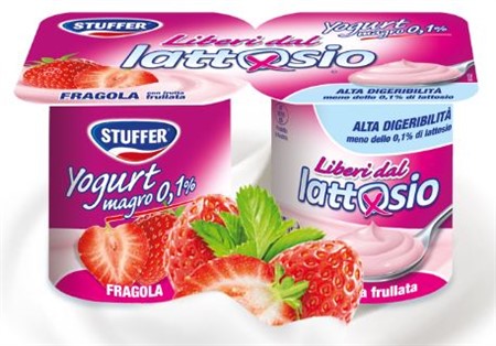 YOGURT FRAGOLA senza lattosio gr.125x 2x 12 pz STUFFER
