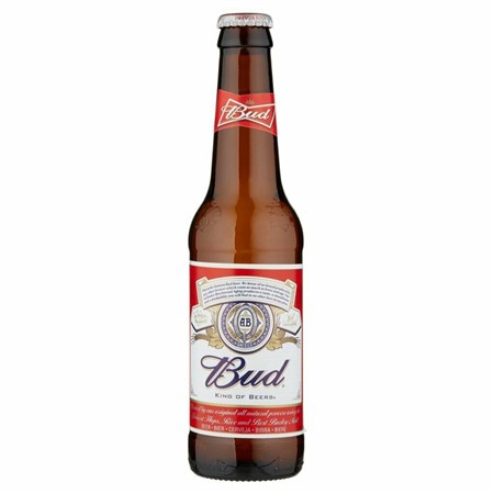 BIRRA BUD cl.33 x 24 bott. VAP
